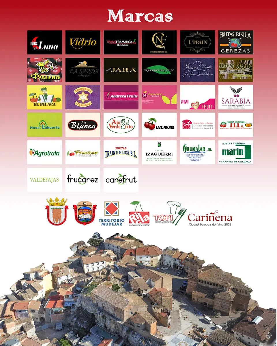 Organizacion Empresas colaboradoras